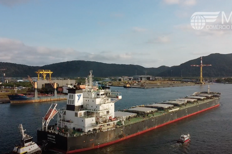 MDL COMEX